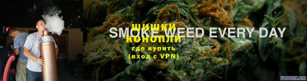ПСИЛОЦИБИНОВЫЕ ГРИБЫ Арсеньев