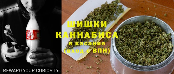 ПСИЛОЦИБИНОВЫЕ ГРИБЫ Арсеньев