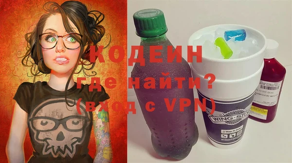 ПСИЛОЦИБИНОВЫЕ ГРИБЫ Арсеньев