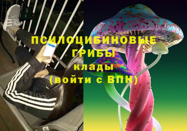 первитин Армянск